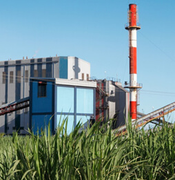 SUGAR INDUSTRY